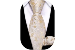 Barry.Wang Ragazzi Cravatta di seta per ragazzi Set quadrato con taschino, motivo scozzese Paisley per feste di busines