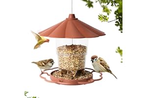 Diivoo Hanging Bird Feeder, Bird Seed Feeder for Wild Small Birds, Designed for Outdoor Bird Feeding, Natural Beauty Appearance and Open Dish Feeder to Attract Birds, Enjoy Birdwatching or Birding