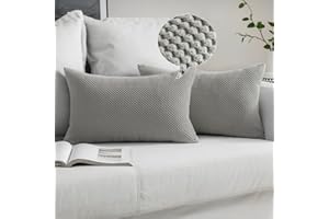 MIULEE Fundas Cojines de Sofá Funda de Almohada de Pana Cojin Rectangular Moderno Color Solido Decoracion para Habitacion Dormitorio Oficina Silla Cama Salón Terraza 2 Piezas Gris Claro 30x50cm