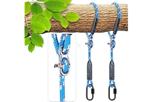 BeneLabel 2pcs Swing Rope, 100cm Hammock Strap Adjustable Polyester Extension String with Carabiner for Hanging Chair Tree Beam Playground Set Suspension Kit, 1000lbs / 10mm Diameter, Blue