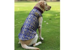 Lulala Traditional Dog Sherwani for Wedding & Festivals, Ethnic Indian Outfit for Pets, Designer Pet Costume with Embroidery & Velcro Closure, Small to Large Dogs (Blue 22 Inch)