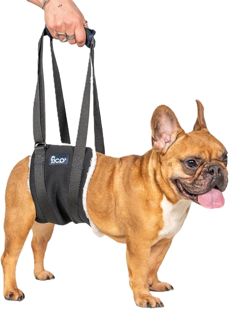 Fico Köpek Kaldırma Desteği, Ayarlanabilir Taşıma Askısı (Large) | Yaşlı, Felçli veya Hareket Kısıtlı Köpekler İçin Arka Bacak Kaldırma ve Taşıma Yardımcısı