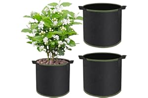 CHIHOLEN 2 Unidades de 40 l Bolsas para Plantas, de Tela no Tejida, con Asas para Patatas, Tomates y Fresas, para balcón, terraza, Invernadero y jardín, 10 galones