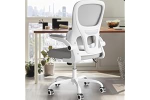Farini Ergonomic Home Office Chair, Mesh Office Chair with Flip-Up Armrest Desk Chair Lumbar Support for Computer Desk