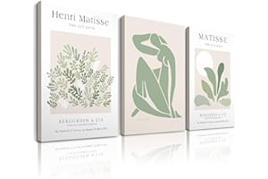 HesenDot Sage Matisse Wall Art,Green Framed Wall Art Set of 3,Minimalist Botanical Wall Decor,30x40cm Canvas Prints,Art Poster Decoration for Living Room Bedroom Bathroom Kitchen