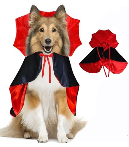 Ling & Bai 2 cappelli da cowboy per cani e costumi per animali domestici e bandana, sciarpa, cosplay, accessori decorativi per feste di Halloween e