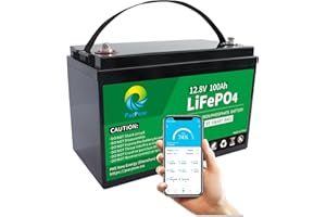 ‎PACPOW PacPow 12V 100Ah LiFePO4 Lithium Batterie,drahtlose Konnektivität.100A BMS, 5000+ Zyklen, Unterstützung in Serie/Parallelschaltung, Perfekter Ersatz für Blei-Säure für Wohnmobile, Solaranlage, Boote