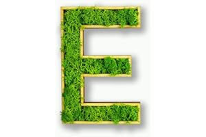 Acryltypo Moosly® Holzbuchstabe – E - mit Rahmen aus Holz, Moos Deko Buchstaben Zeichen Symbol Zahl - Holzbuchstabe mit echtem Islandmoos - Wandbilder Wohnzimmer Deko Wand Bilder Wohnzimmer Bilder