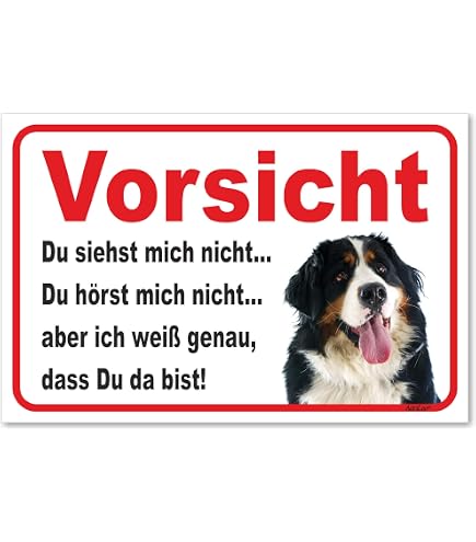 Warnschild 'Vorsicht Berner Sennenhund' – 30x40 Cm, Aus Aluminium, Wetterfest – Für Gartenzaun, Haustür & Grundstück