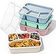 XGXN Bento Box Adult Lunch Box (4 Pack), 5-Compartment Meal Prep Container for Kids, Reusable Food Storage Containers with Transparent Lids, No BPA, Microwaveable (Wheat (Green/Blue/Pink/Beige))