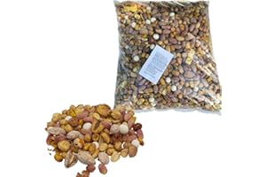 iChuches- Frutos secos crudos, tostados y fritos, fabrica local y producto de primera calidad (1 kg, Revuelto Especial Nº1)