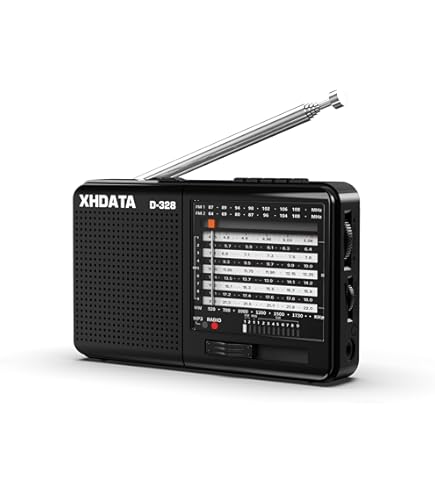 Sony ICF-P27 - Portable AM/FM radio - Black : Amazon.in: Electronics