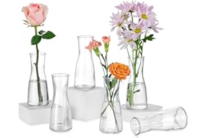‎HEWORY Hewory Small Vases for Table Decoration Wedding: 6 Vases Glass Vases Small Table Decoration for Wedding Decoration - Modern Flower Vase Glass Small Glass Vases Flower Vase Narrow for Living Room