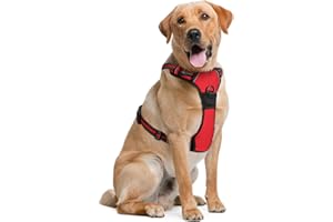 Dog Harness (Extra Large, Red) for Running, Hiking & Training, Soft-Padded & Adjustable No-Pull Design Pet Harness W/ 2 Leash Clips & Reflective Strips for Safety, by EcoEarth