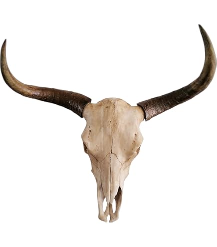 Crâne de Buffle sculpté argenté - Décoration murale bohème chic