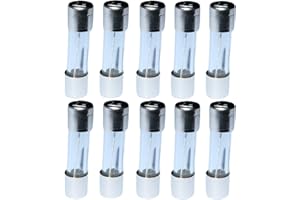 AERZETIX - C10956-10 x Glassicherungen - Glasrohr - Sicherungen - Verzögert Langsam - 2cm 5x20mm - 220V 250V - 4A