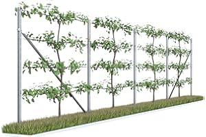 Kiwiri RANKI ™ Treillis pour plantes grimpantes - Treillis standard pour vin, kiwi, kiwi, rose, clématite, fruits en treillis (4 champs (8 mètres)