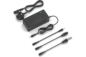 NATNO Electric Scooter Charger 54.6V 2A for Gotrax, Replacement Ebike Hoverboard Charger for Go Trax G2 G3 G4, Evercross H5, Kugoo M4/M4 Pro, Hitway H5/H5 Pro 48V Lithium Battery