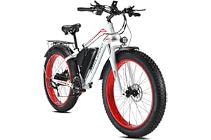 HFRYPSHOP Bicicletta Elettrica 26", Bicicletta Elettrica da Montagna con 4,0 Pneumatici Grassi Batteria al Litio 48 V 17.5 Ah (840 Wh), 85 N.m, Shimano 21 Velocità, Freni a Disco Idraulici