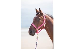Shires Topaz Nylon Pony/Horse Headcollar - Black
