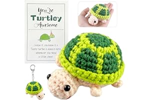 Qnynnty Positive Häkel Schildkröte Pocket Hug Geschenk Positive Energie Schlüsselanhänger mit Glücksbringer Karte Niedliche Strickwolle Schildkröten Puppe für Geburtstag, Freunde und Deko