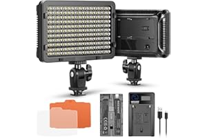 NEEWER 176 LED Videoleuchte Streaming Licht 5600K Kamera Videolicht Panel mit 2200mAh Akku und USB Ladegerät Key Light für Canon Nikon Pentax Panasonic Sony usw. DSLR Kamera Fotografie