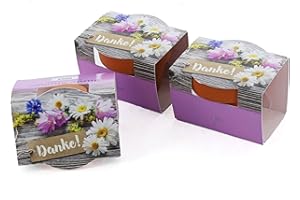 Bull & Bear Set of 3 Mini Plant Set 'Thank You', 3 x Flower Seeds in Pot 4.5 cm, Mini Flowers as Growing Set with Care Instructions (English language not guaranteed)