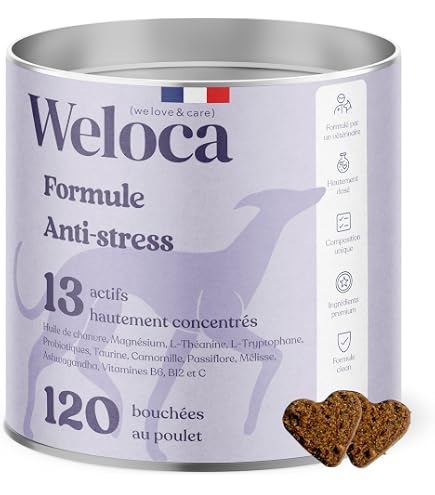 Gant Anti-poils Pour Chat Et Chien - Lot De 2 - Adhérence électrostatique - Lavable Et Réutilisable - Pour Canapé, Lit, Vêtements