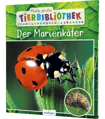 1052134_5