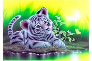 MXJSUA Kit de broderie diamant carré 5D à faire soi-même, 5d diamond painting complet Petit tigre peinture 5d diamant complet ,Point de croix - Artisanat pour décoration murale de la maison - 30 x 40 cm