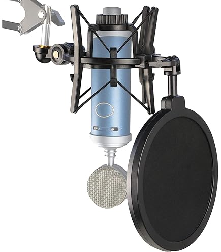 Blue Bluebird SL Condenser USB Mic : Amazon.in: Musical Instruments