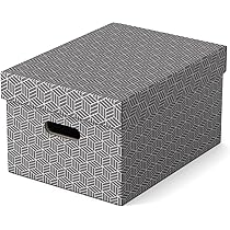 Shop your Opbergdoos Esselte home groot 355x305x51 | PCI