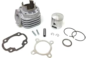 AIRSAL 50ccm Sport Zylinder Kit AC passend für Minarelli liegend CPI, Malaguti F10/F12, MBK, PGO, Jog R/Neos, Axis, Breeze, MBK Ovetto Mach G