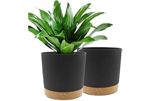 QCQHDU Lot de 2 Pots de Plantes 25.4cm, Pots pour Plantes d'intérieur avec Trous de Drainage et Base Amovible, Soucoupe décorative Moderne pour jardinières d'extérieur (Noir 25.4cm)