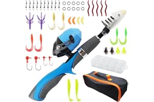 Dellyy Canne à Pêche Télescopique Enfant avec Moulinet, Ensemble de Leurres et Accessoires pour Voyage, Sac de Matériel Inclus