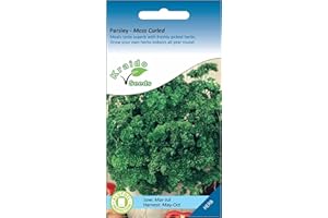 KRAIDO SEEDS Parsley Moss Curled Herb 1500 Seeds Petroselinum Crispum, Grow Your Own Herb Garden Indoors on a Windowsill or Outdoors in Pots and Containers