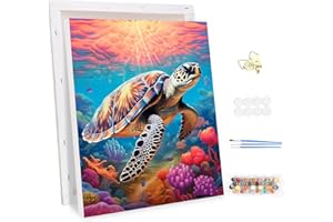 MEIYUDA Dipingere con i Numeri Adulti con Telaio Tartaruga Marina, Pittura a Olio Kit Paint by Numbers, fai da te Quadri da Dipingere Numerat, Pittura Adulti Decora la Casa Regalo 30x40cm