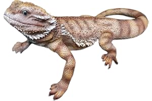 ‎ASPINAWORLD Aspinaworld wetterfeste Gartenfigur für außen, Bartagame Figur 34 cm lang, Dekofigur Garten, Gartendeko aus Kunstharz