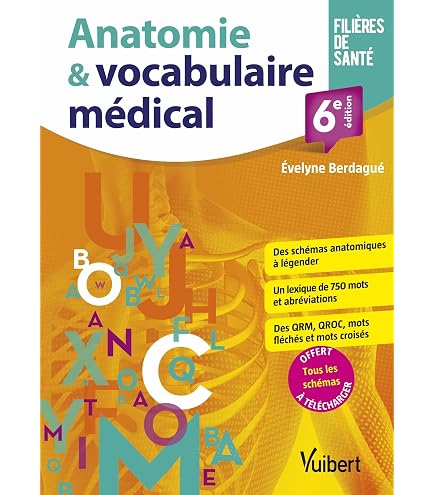 Lot De 2200 Notes Autocollantes Strehknewen - 4 Formats, 11 Couleurs - Étui PU Inclus - Parfait Pour Bureau, école Et Organisation - 4
