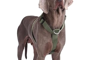 AKOFIC Pettorina Cane Taglia Grande Media Piccola, Pettorina Antifuga Regolabile con Ganci in Metallo, Pettorine Morbido Confortevole Imbottito Petto per Addestrare Le Passeggiate (Verde, L)