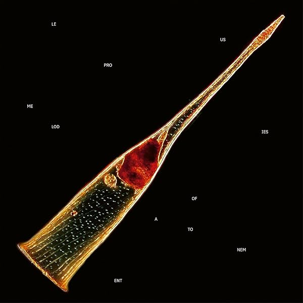 Tall Poppy Syndrome: Leprous: Amazon.it: CD e Vinili}