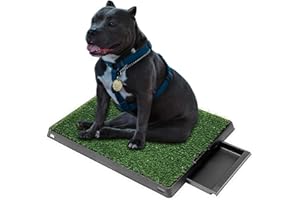 GREESUIT Dog Toilet Puppy Toilet with Artificial Grass 63 x 50 cm Dog Toilet Puppy Toilet Training Mat for Small Older Dogs