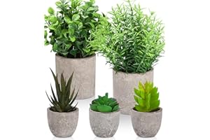 SOBEAU 5 piante artificiali per interni,Piante Artificiali Succulente in Vaso Mini Finte Piante Artificiali da Interno e Esterno Pianta Decorativa-Scrivania, Camera da Letto, Cucina o Casa