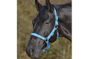 WALDHAUSEN Halfter Pferdchen