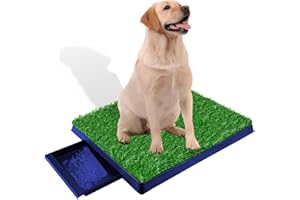 KASADIN Hundetoilette, Hundeklo Welpentoilette Trainingsunterlage mit Kunstrasen, Waschbar hundeklo Welpenklo Pinkelmatte Toilette Drinnen und Draußen für Kleine Hunde Grosse Hunde ältere