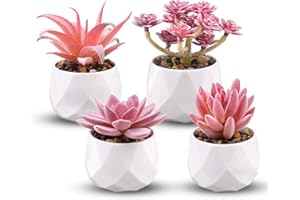 PETGLIMMER 4 Pièces Mini Succulentes Artificielles, Avec Pot de Fleurs Plantes Artificielles, Plastique Fausse Plante Bureau, Fausses Plantes D'Intérieur, Chambre à Coucher, Salon, Décoration de Bureau