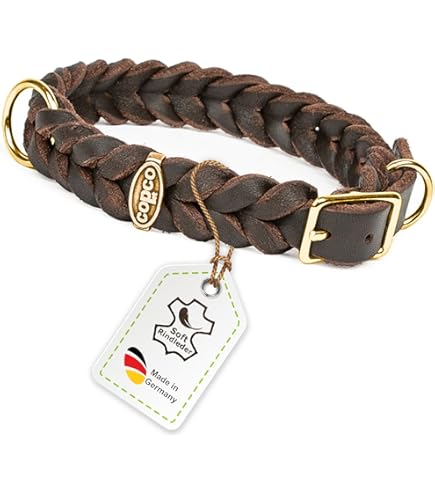 CopcoPet Correa Para Perro De Piel Engrasada, 2 M X 12 Mm, Color Marrón, 3 Posiciones, Trenzada
