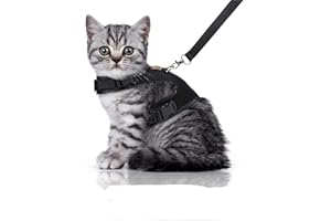 Bella & Balu Uprząż dla kota w zestawie ze smyczą – odporna na uprząż na klatkę piersiową z miękką wyściółką wewnętrzną i oddychającą siateczką – do beztroskiego spaceru z gazem (S, czarna)