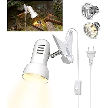 Il Miglior Tipo Di Lampadina Per Frigorifero - Foto 7