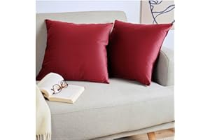 Blumtal Juego de 2 Fundas de Cojín de Terciopelo - Cojín Decorativo con Cremallera Oculta, Decoración para Hogar, Sofás, Camas, Rojo Vino, 45 x 45 cm